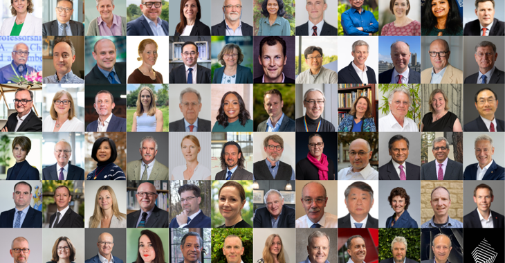 Fellows Collage