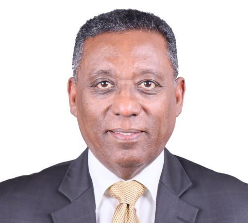 Headshot of Professor Desta Mebratu HonFREng HonFRS