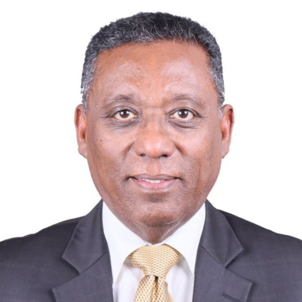 Mebratu, Desta Honorary Fellow 2026 500X450