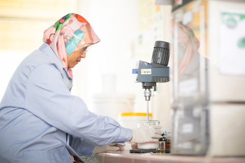 Photo of Rozzeta developing Mizu Paint.