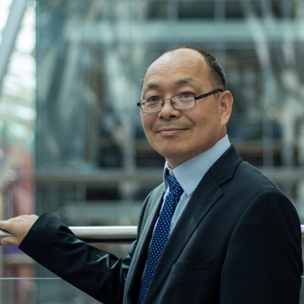 Wang, Meihong Fellow 2026 500X450